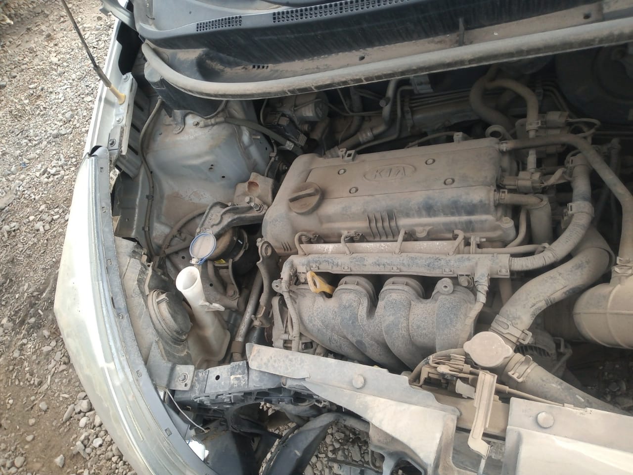 Riel inyección Kia RIO  USADO